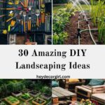 DIY landscaping ideas