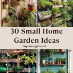 Small Home Garden Ideas On A Budget