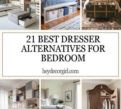 Best Dresser Alternatives