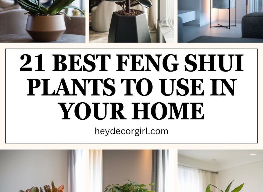 Feng Shui Plants