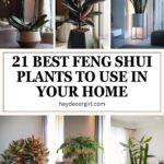 Feng Shui Plants