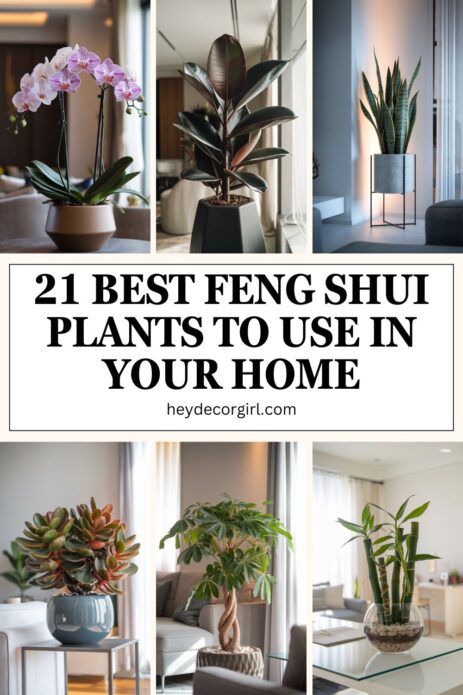 Feng Shui Plants