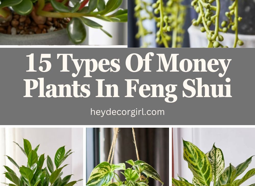 Plants In Feng Shui