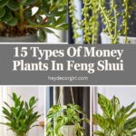 Plants In Feng Shui