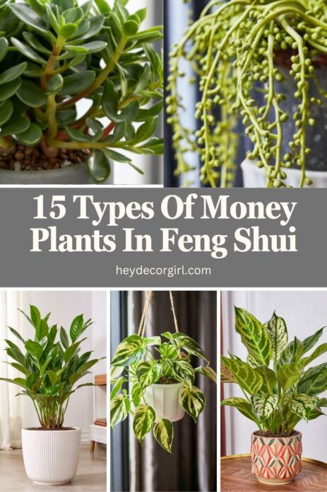 Plants In Feng Shui