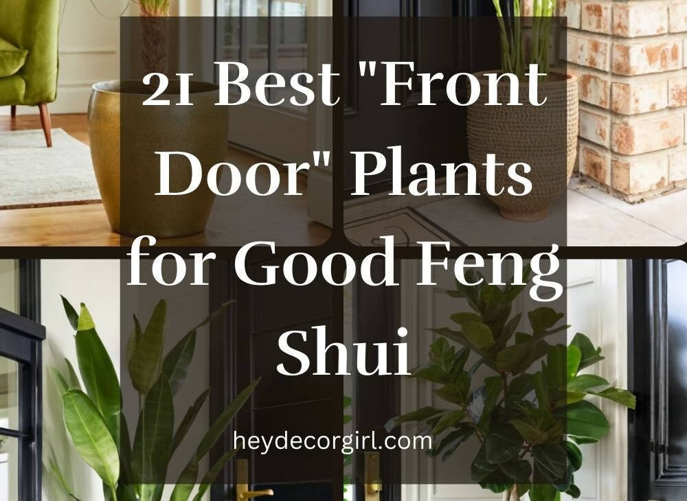 Plants for Good Feng Shui