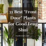 Plants for Good Feng Shui