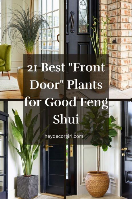 Plants for Good Feng Shui