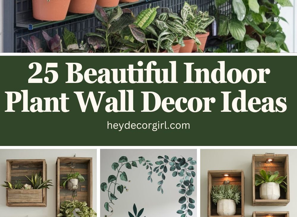 Indoor Plant Wall Decor Ideas