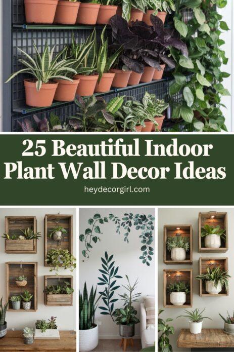 Indoor Plant Wall Decor Ideas