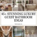 Luxury Guest Bathroom Ideas