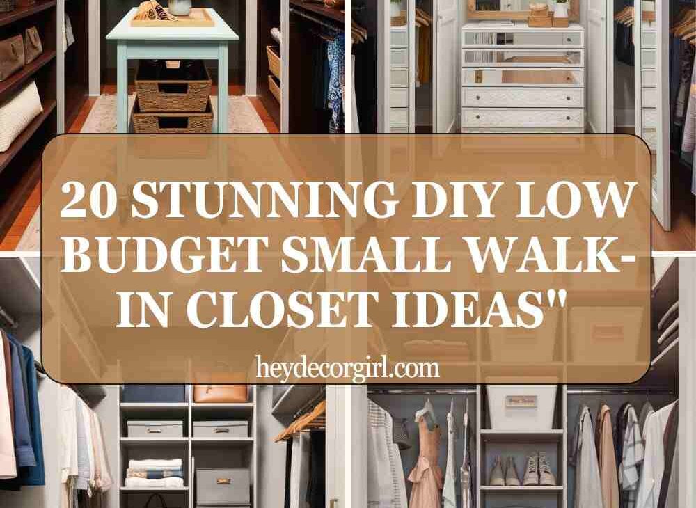 DIY Low Budget Small Walk-In Closet Ideas