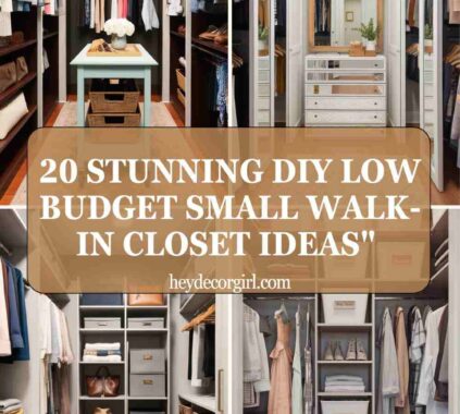 DIY Low Budget Small Walk-In Closet Ideas