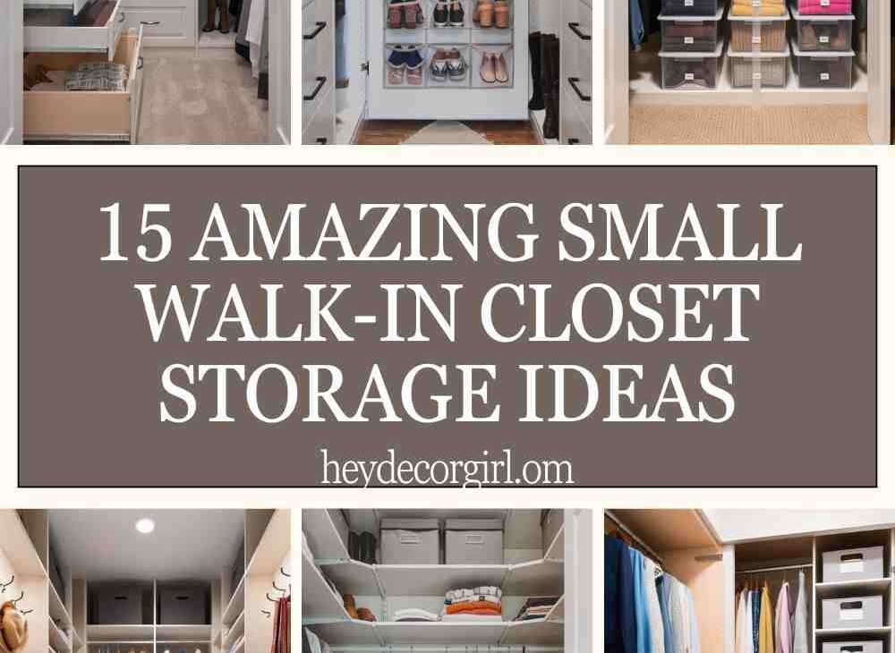 Small Walk-In Closet Storage Ideas