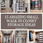 Small Walk-In Closet Storage Ideas