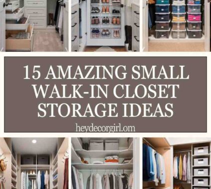 Small Walk-In Closet Storage Ideas