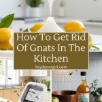 How To Get Rid Of Gnats In The Kitchen