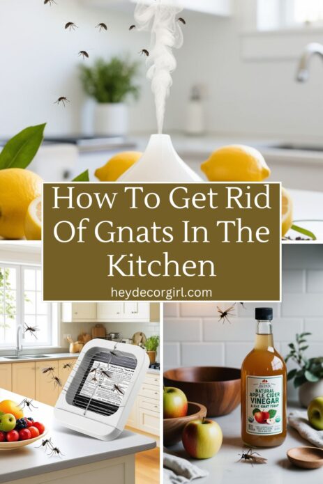 How To Get Rid Of Gnats In The Kitchen