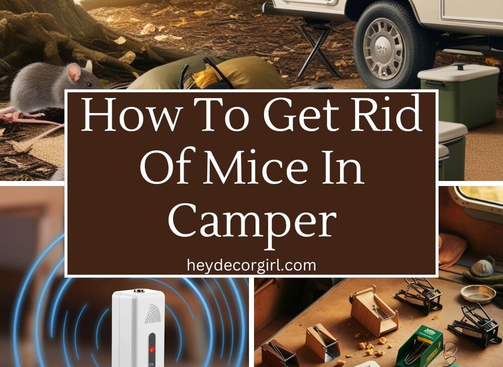 How To Get Rid Of Mice In Camper