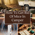 How To Get Rid Of Mice In Camper