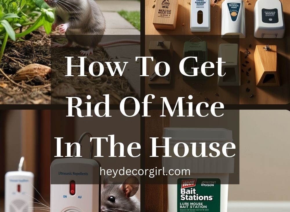 How To Get Rid Of Mice In The House