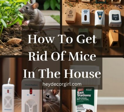 How To Get Rid Of Mice In The House