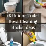 Toilet Bowl Cleaning Hacks Ideas