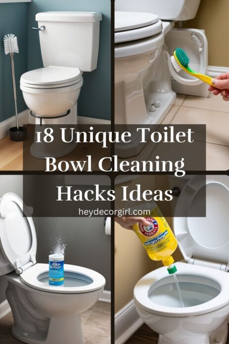 Toilet Bowl Cleaning Hacks Ideas