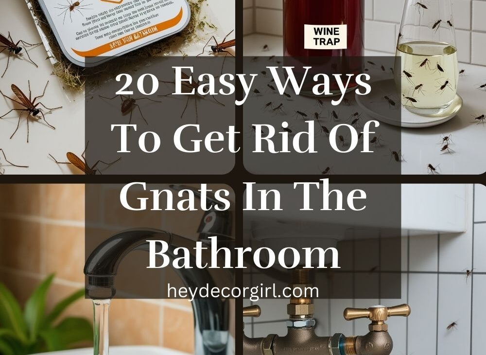 Ways To Get Rid Of Gnats In The Bathroom