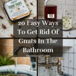 Ways To Get Rid Of Gnats In The Bathroom