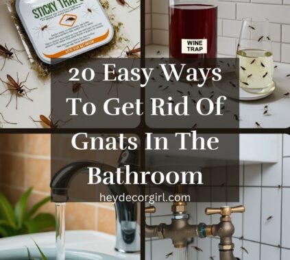 Ways To Get Rid Of Gnats In The Bathroom