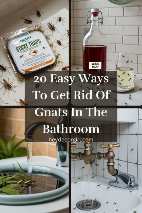 Ways To Get Rid Of Gnats In The Bathroom