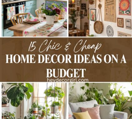 Home Decor Ideas On a Budget