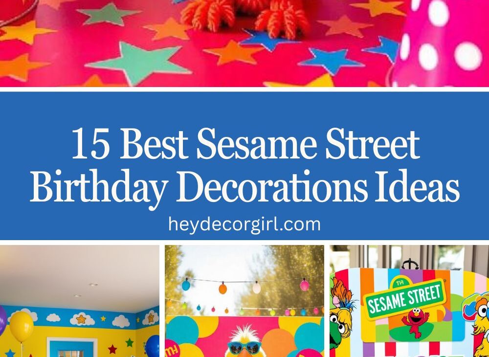 Sesame Street Birthday Decorations​ Ideas