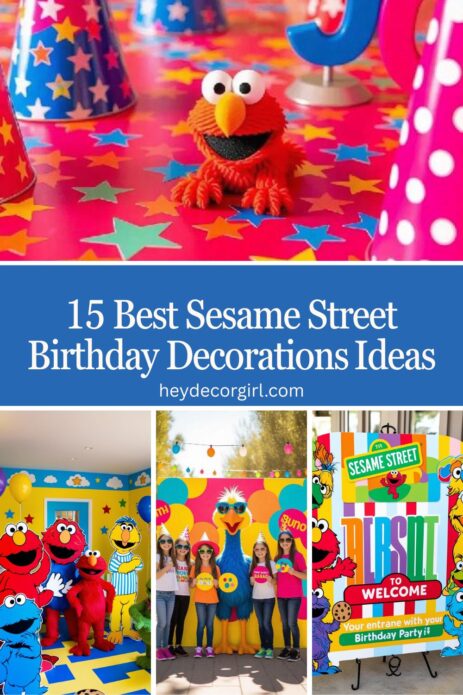 Sesame Street Birthday Decorations​ Ideas