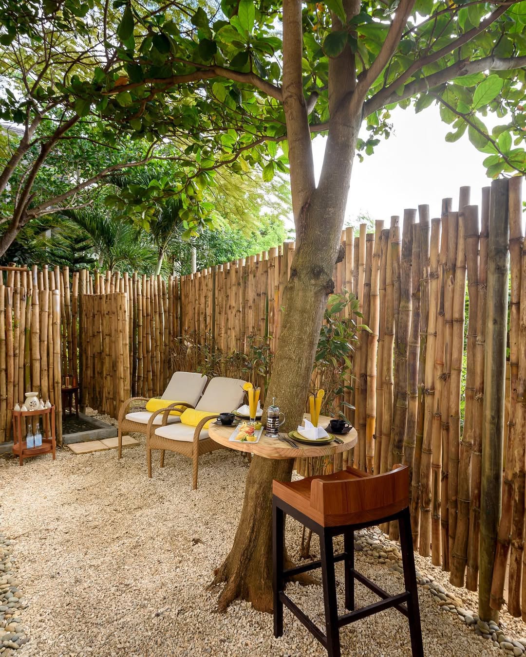 Privacy Fence Ideas