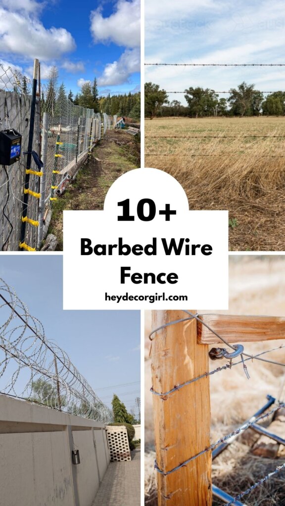 Barbed Wire Fence