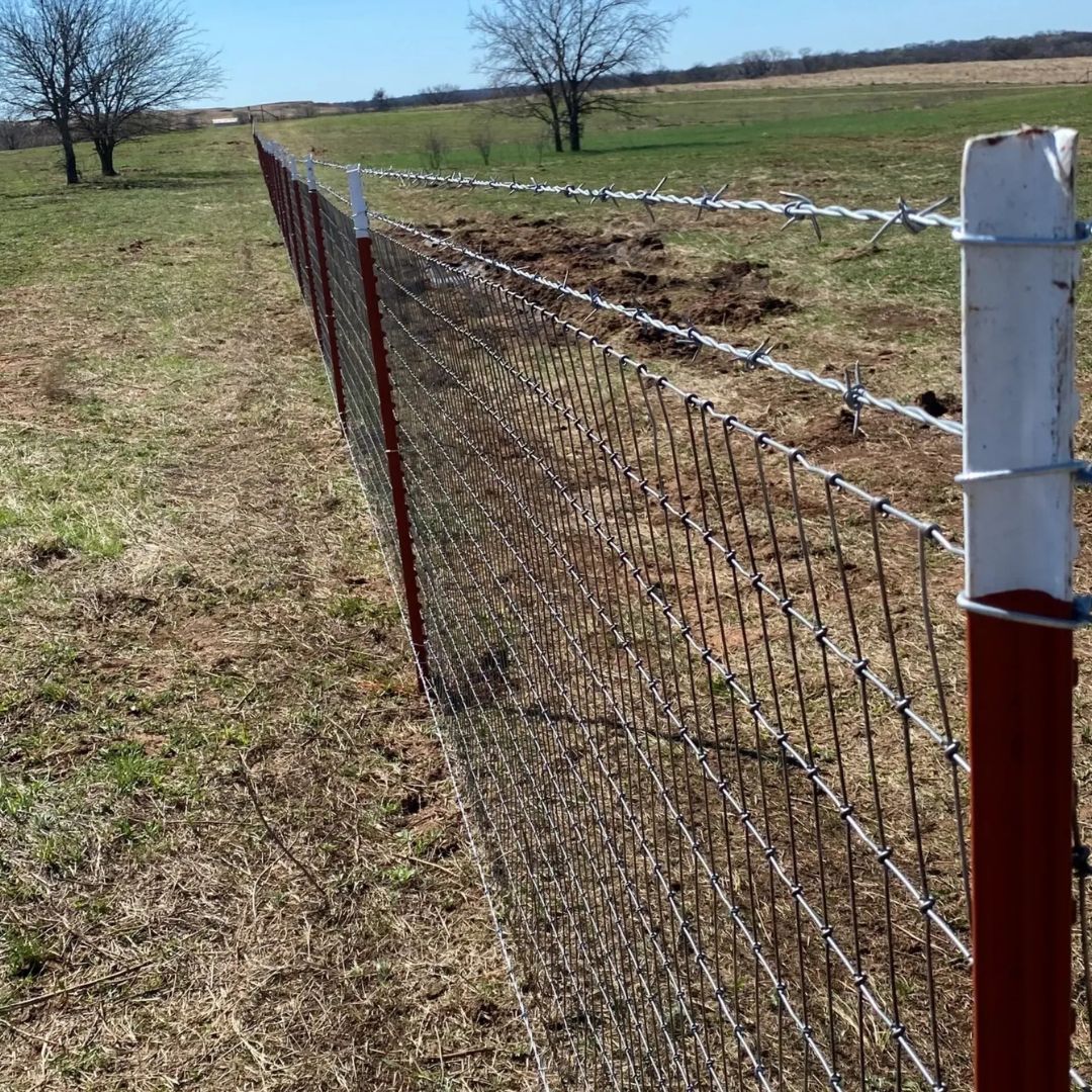 Barbed Wire Fence