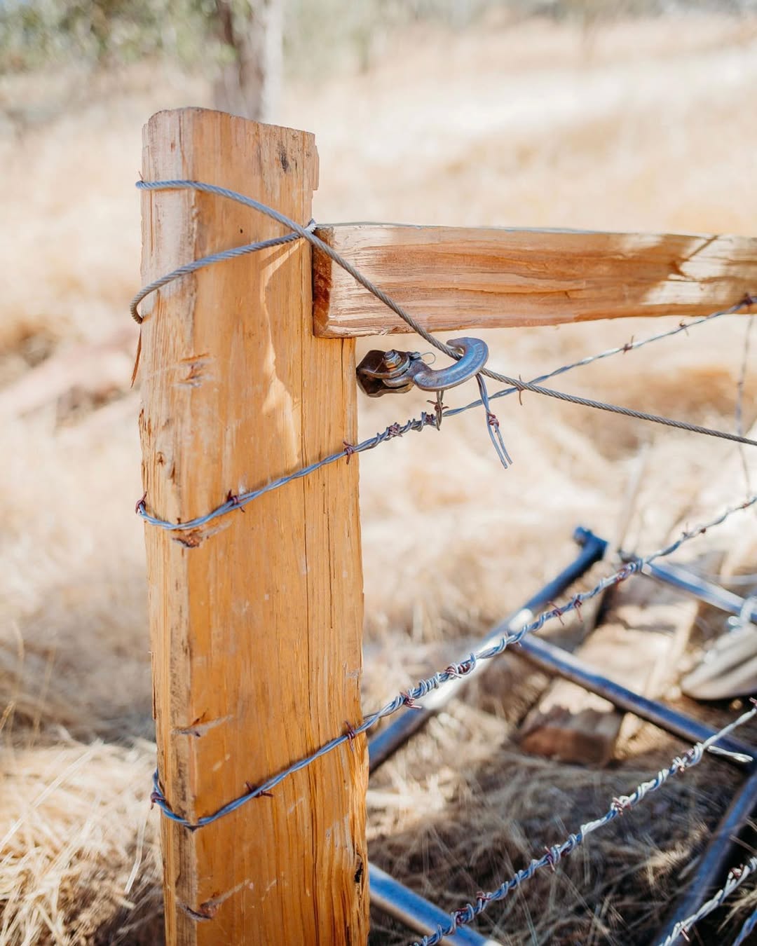 Barbed Wire Fence