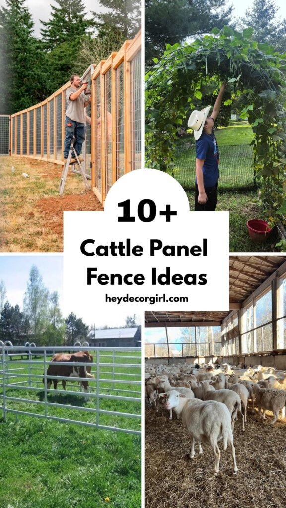 Cattle Panel Fence