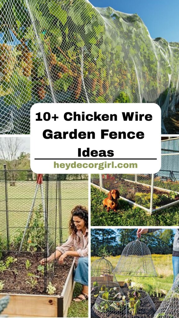 Chicken Wire Garden Fence