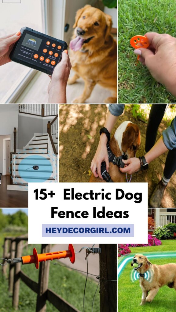 Electric Dog Fence