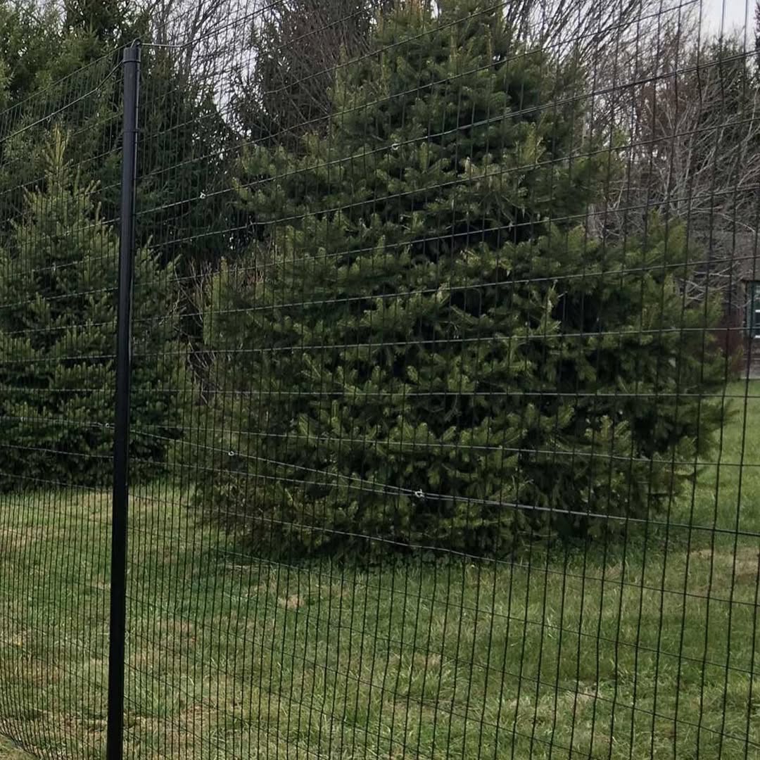 Welded Wire Fence