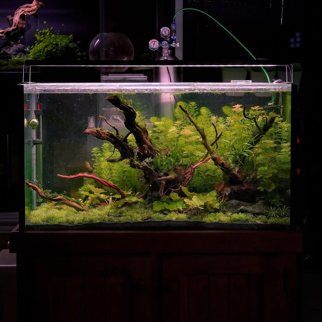 Aquarium Fish Tank Decorations