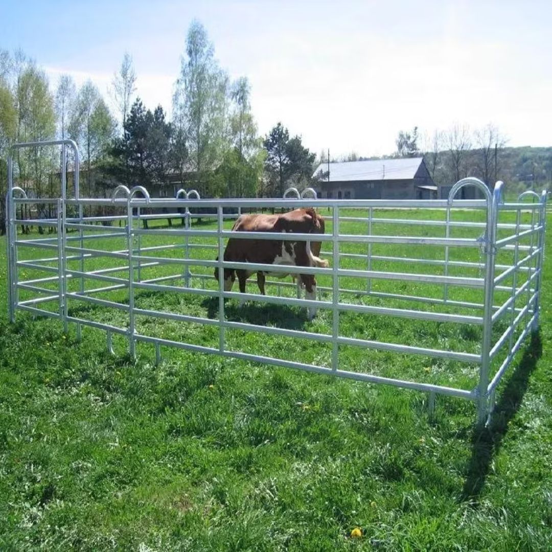 Cattle Panel Fence