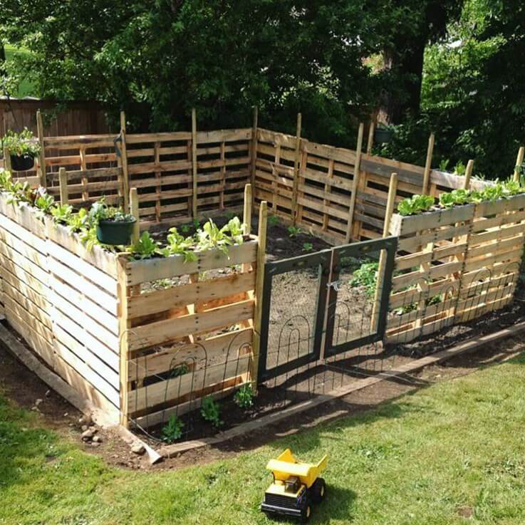 Garden Fence