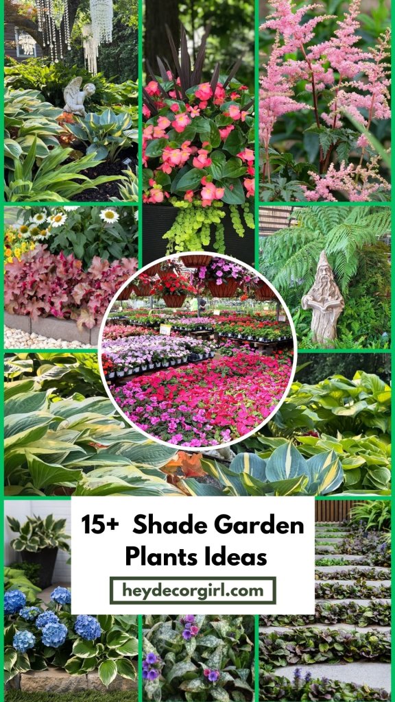 Shade Garden Plants