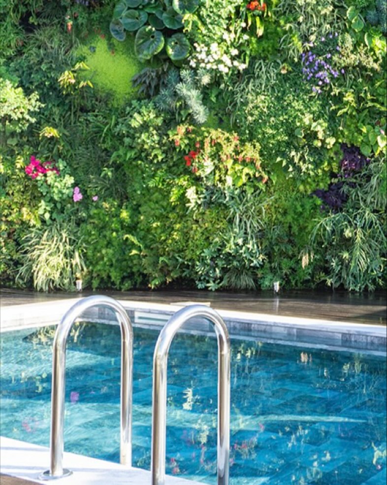 Landscape Design for Pool