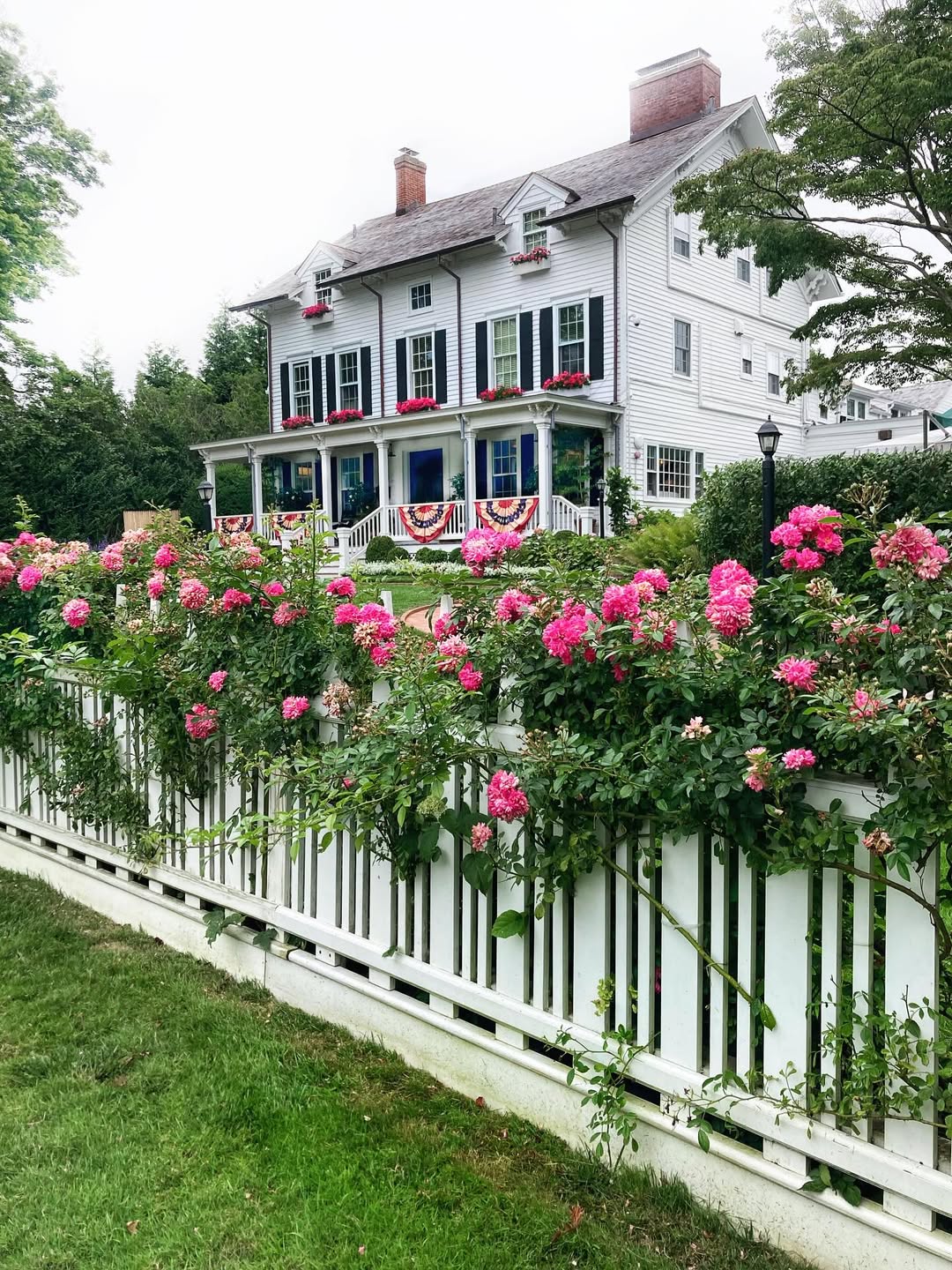 White Picket Fence