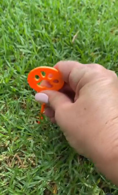Electric Dog Fence